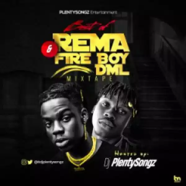 DJ PlentySongz - Best Of Rema & Fireboy DML
